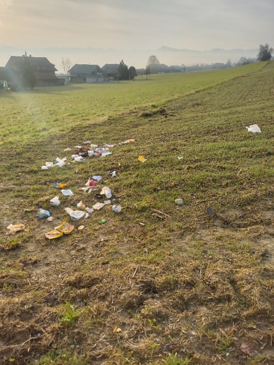 Kehricht auf Wiese