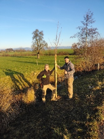 Ein Bild, das draußen, Himmel, Gras, Pflanze enthält.

KI-generierte Inhalte können fehlerhaft sein.